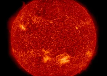 Солнце проживает самый масштабный всплеск активности за последние годы. Как это отразится на земле?