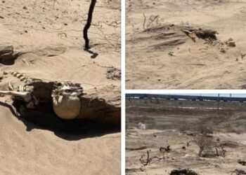 Человеческий скелет нашли в степи рядом с Кызылордой