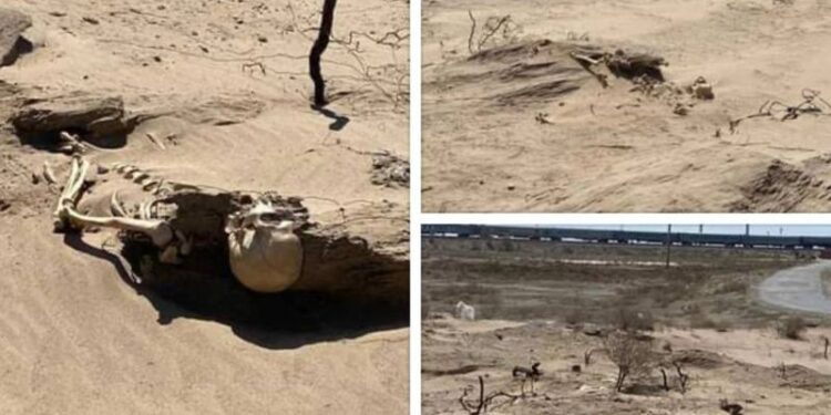 Человеческий скелет нашли в степи рядом с Кызылордой