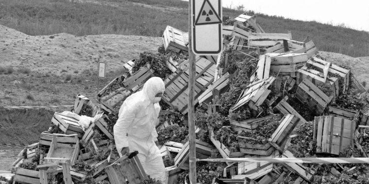 26 апреля международный день памяти о чернобыльской катастрофе