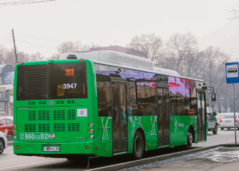 Водитель автобуса, сбивший женщину в Алматы, подделал права