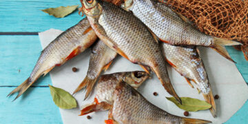Тонну рыбы изъяли у браконьеров в Атырау