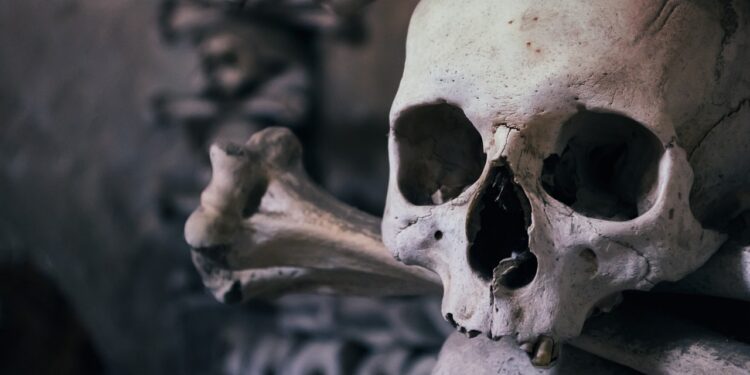 Пакет с человеческими костями нашли на кладбище Кокшетау