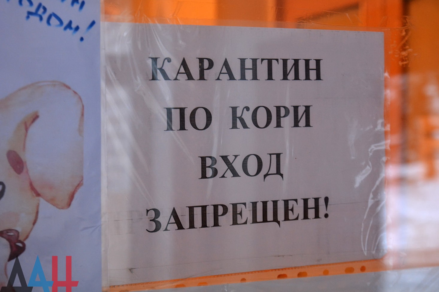 На дистанционное обучение перевели атырауских школьников из-за вспышки кори