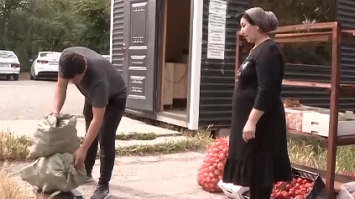Мусор на продукты питания меняют в Туркестанской области