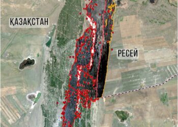 Из космоса показали масштабы лесного пожара в Абайской области