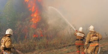 Лесные пожары перекинулись на Казахстан с территории РФ
