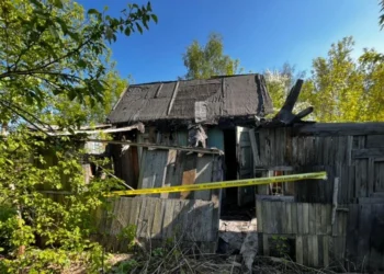 Схрон с боеприпасами и оружием обнаружили в заброшенном доме Усть-Каменогорска