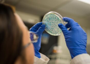 Искусственный интеллект создал антибиотик, который убивает супербактерии