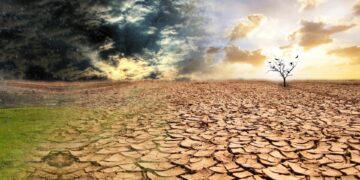 Засуху в Кызылординской области в мае предсказывают синоптики