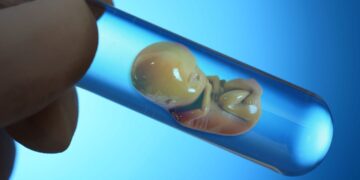Эмбрион из стволовой клетки создали учёные впервые в истории