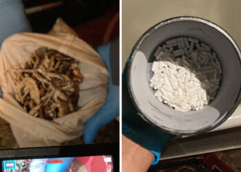 Марихуану, грибы и таблетки нашли у 21-летнего костанайца