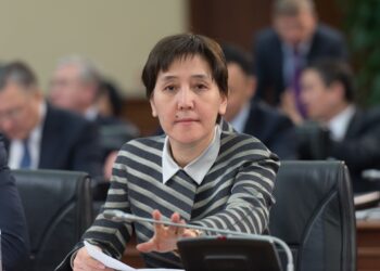 Мажилис согласовал Тамару Дуйсенову на должность вице-премьера вместо Алтая Кульгинова