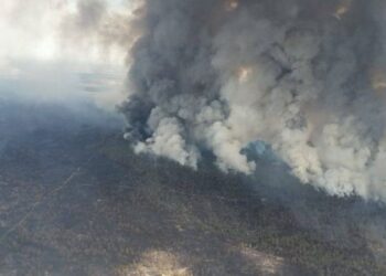 Названа предполагаемая причина пожара в Абайской области
