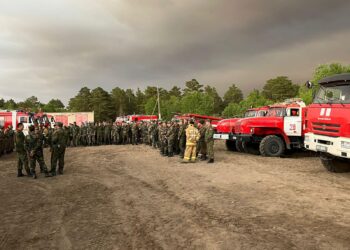 Турция и Узбекистан предложили помощь в тушении лесных пожаров в Абайской области