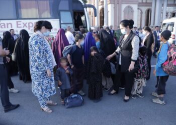 Мать и четверых детей вернули в Казахстан из Сирии