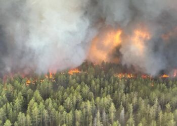 Лесные пожары в области Абай: Токаев дал поручение правительству