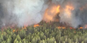 Лесные пожары в области Абай: Токаев дал поручение правительству