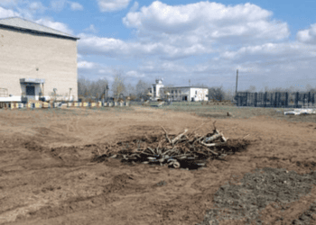 В выгребную яму школьного туалета провалился ребёнок в Павлодарской области