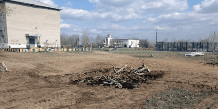 В выгребную яму школьного туалета провалился ребёнок в Павлодарской области