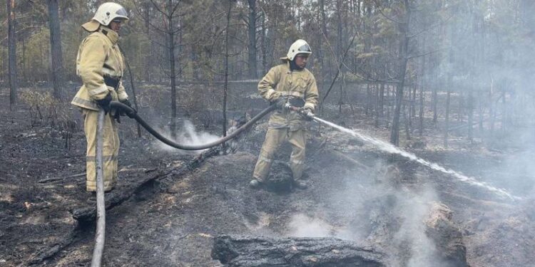 Пожарные ВКО поблагодарили казахстанцев