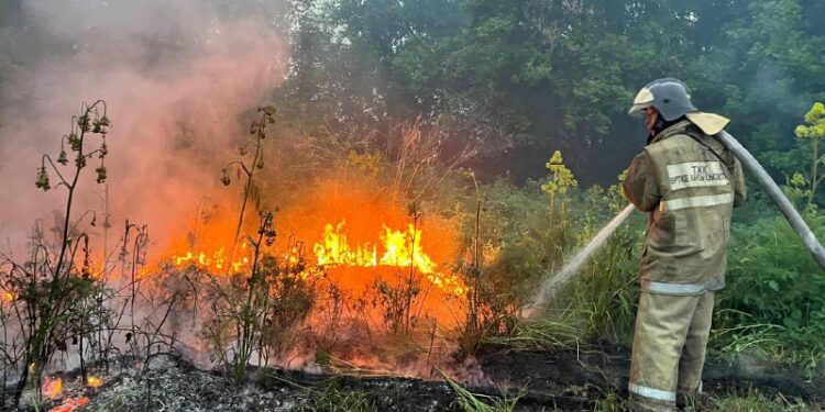 Пожар в Абайской области не потушили: Министр МЧС лично координирует процесс (Видео)