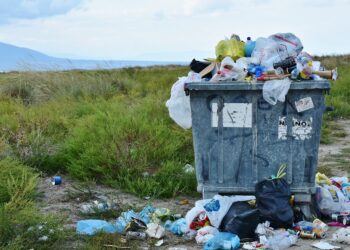 В Бишкеке хотят признать мусор собственностью города и начать наказывать за его хищение из контейнеров