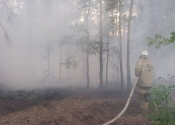 Погибли все 14 лесников, без вести пропавшие при лесном пожаре в Абайской области