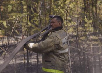 Лесной пожар в области Абай локализован