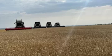 Запрет на ввоз пшеницы продлили в Казахстане